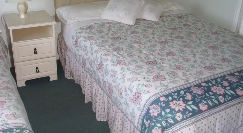 Springfield House B&B