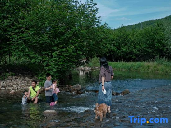 Yu'an Mountain Slow Life Pool and River Rafting Resort