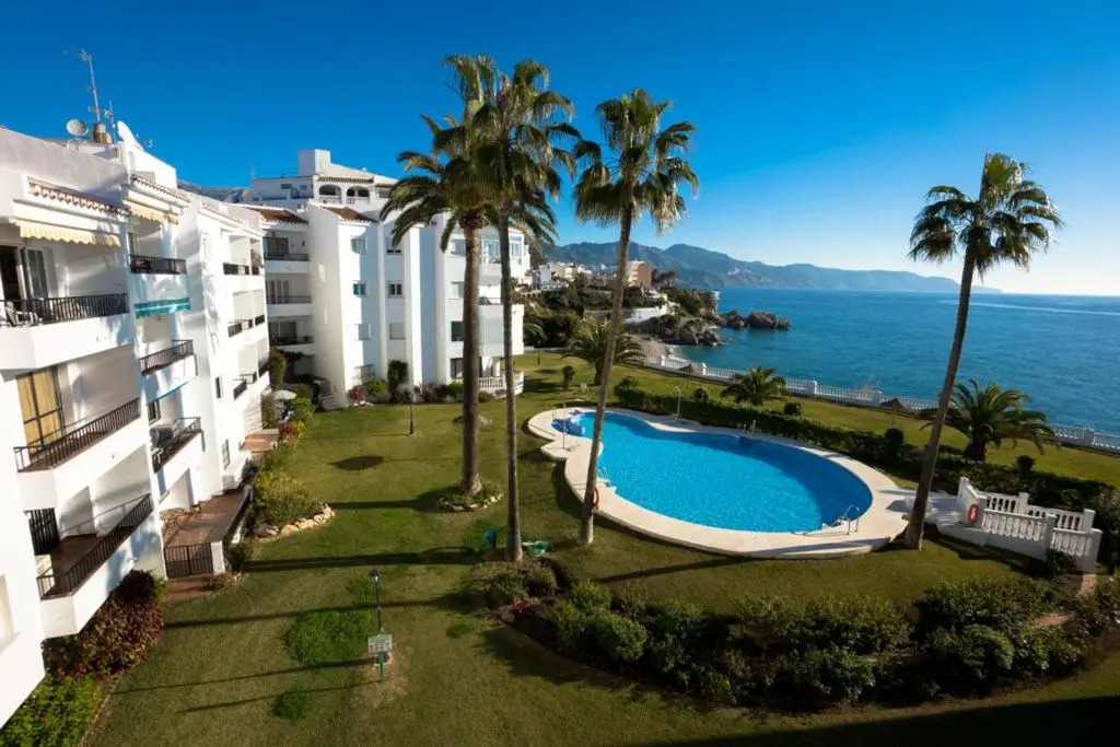 Palmeras 72 Menyber