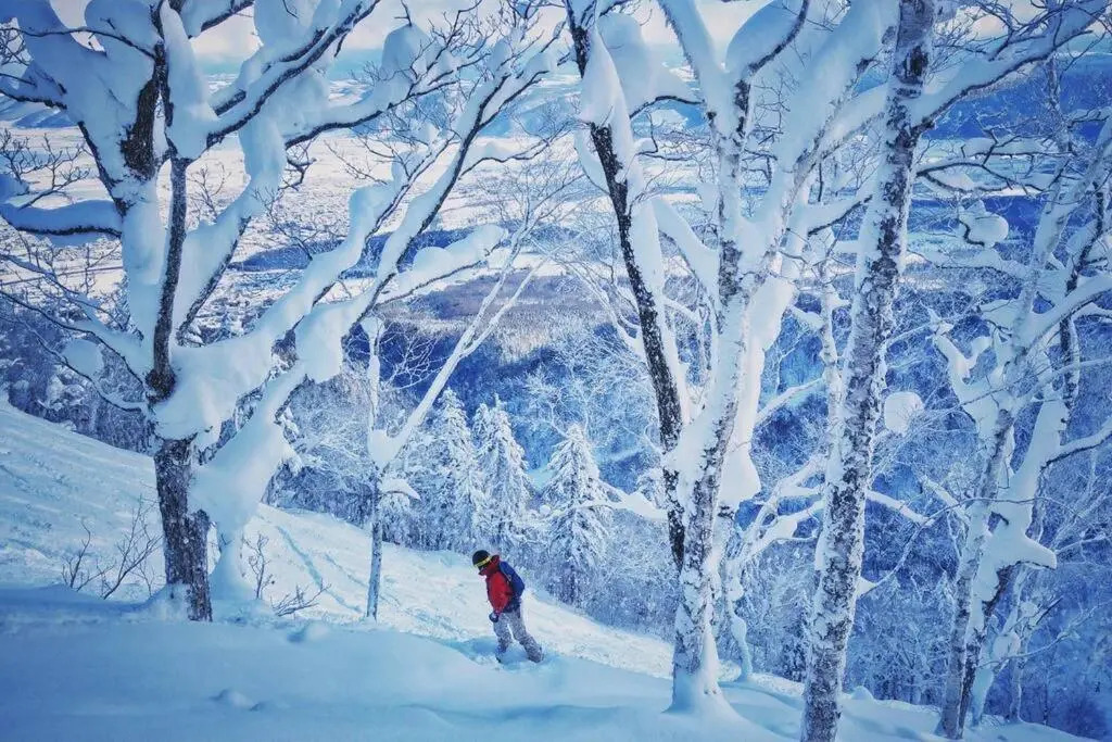 Furano CUBE SUGAR-方糖民宿,步行8min到雪场,3 brs,Max 6ppl
