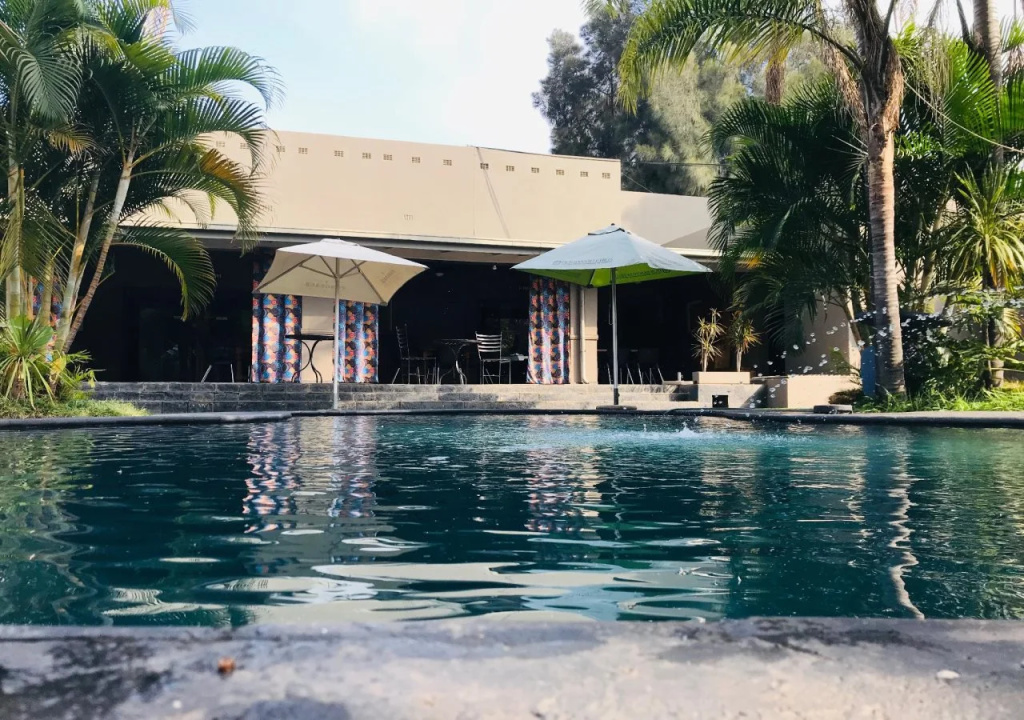 Elephant Springs