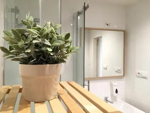 Beautiful Apartments in Prague