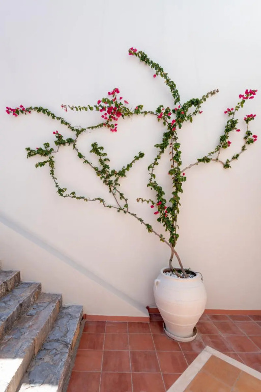 Minois Boutique Hotel