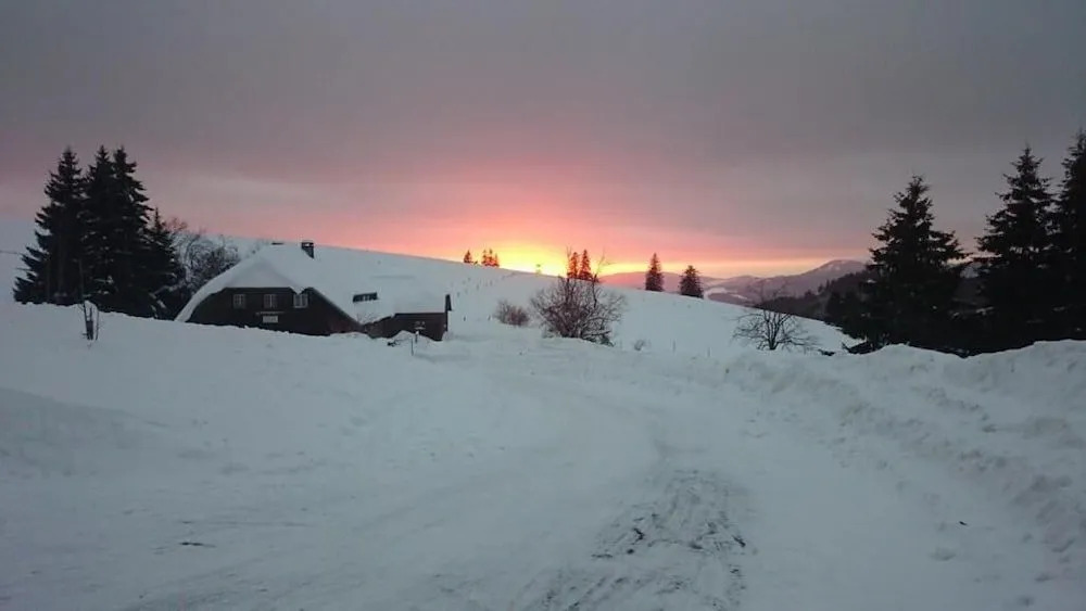 Berggasthaus Gisiboden Alm