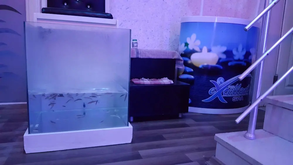 Kleopatra Togan Suit Hotel - All Inclusive