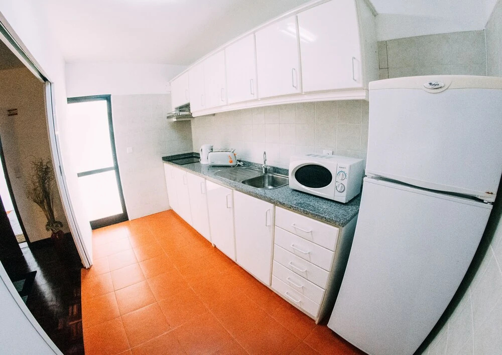 Arts In Apartments Pina