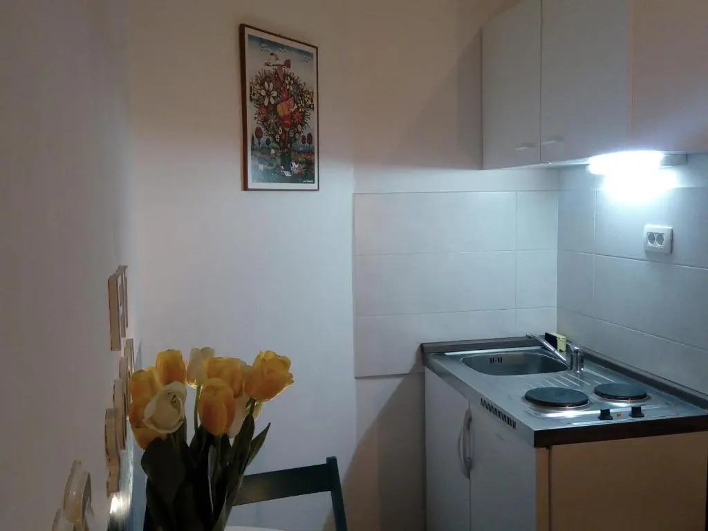 Apartment Optimist/City Break
