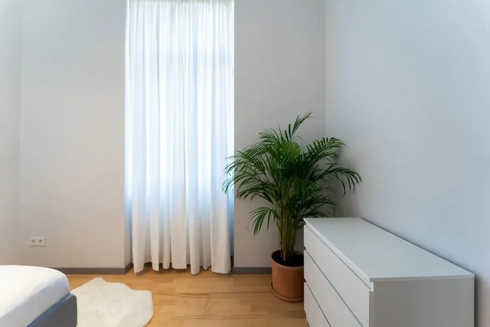Beautiful and Sunny 2bdr Apartment