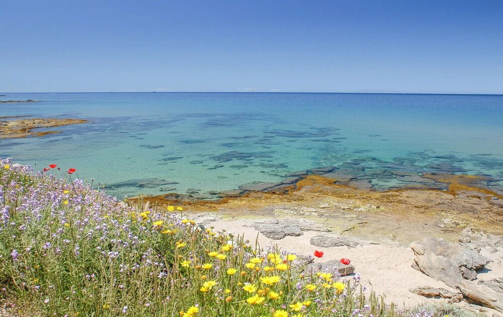 Amazing Apartment in Punta Su Turrione With 2 Bedrooms and Outdoor Swimming Pool