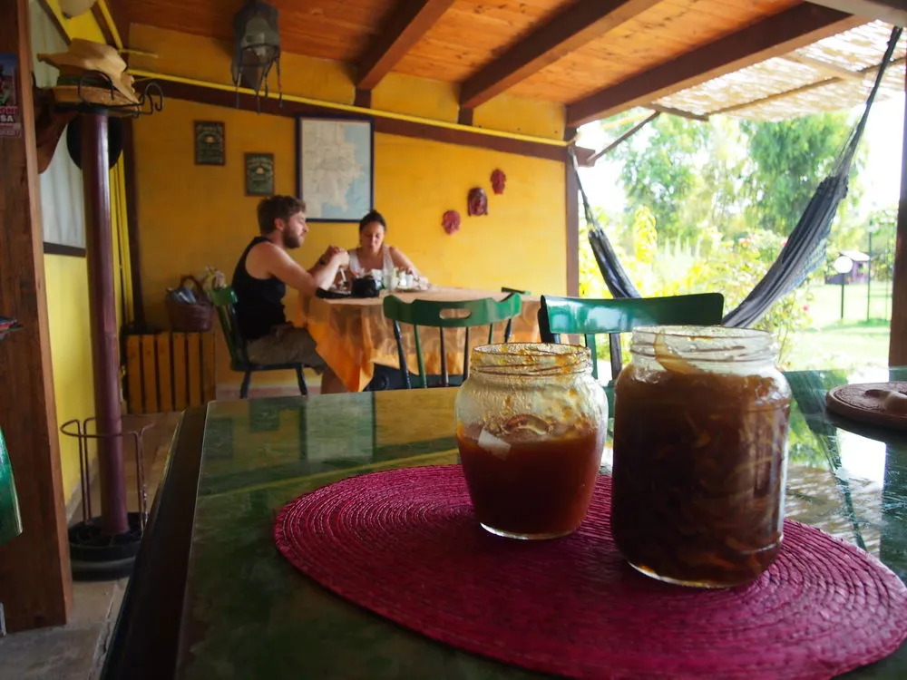 Agrib&B Lemontree GardeN