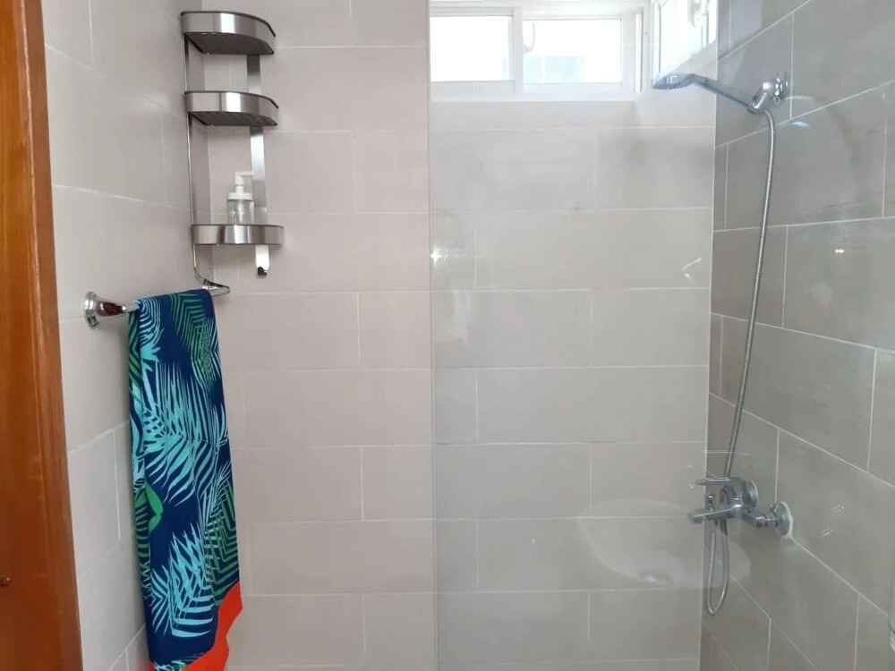 3 bedrooms appartement with shared pool furnished garden and wifi at Santiago De Los Caballeros