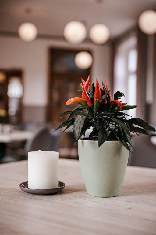 Hotel Biedendieck