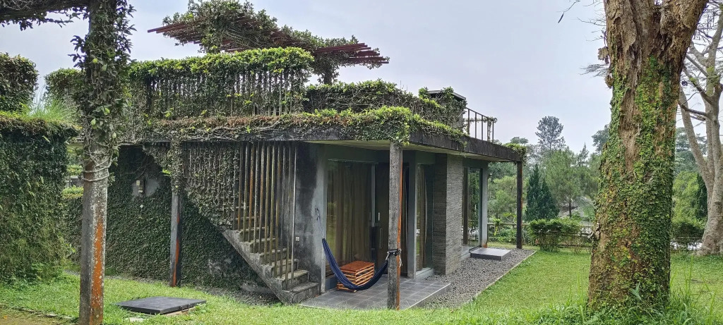 Tea Garden Resort