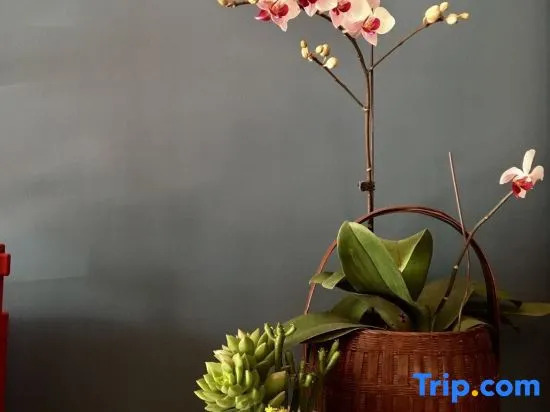 Xianyunju Resort Hotel (Yangshuo 20 yuan Scenic Area Branch)