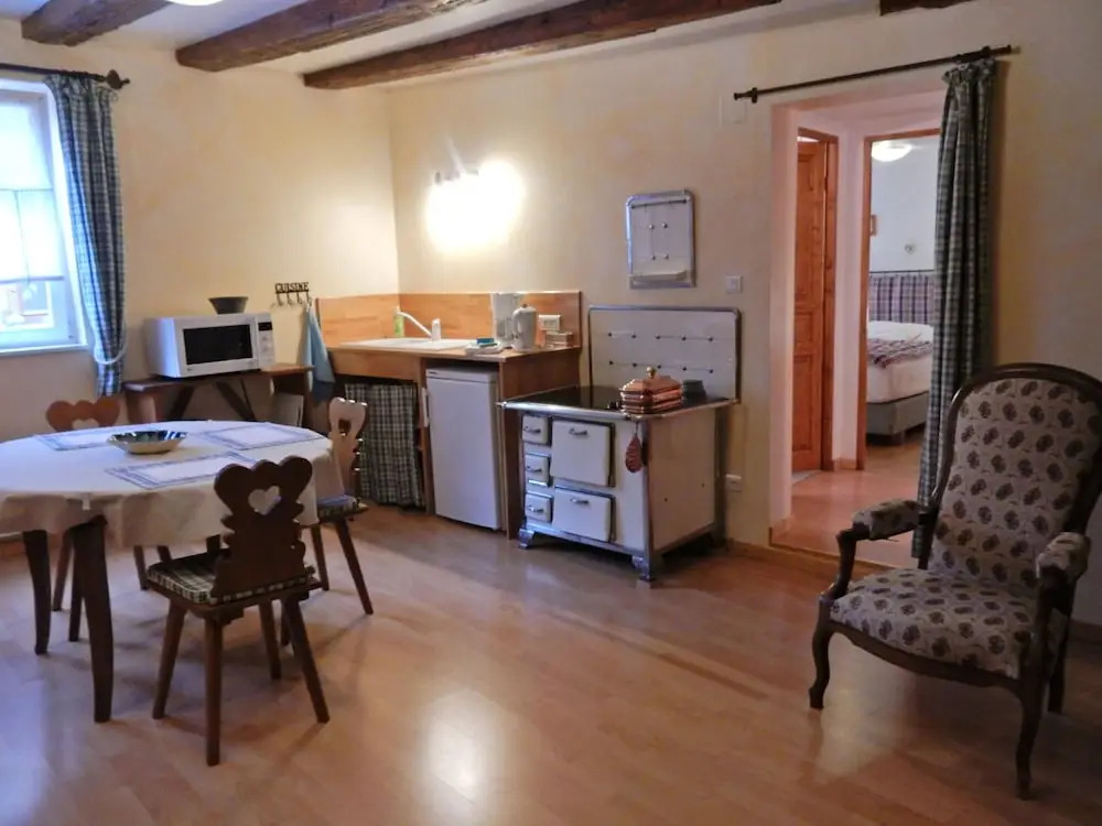 Apartment in Riquewihr near Vineyards
