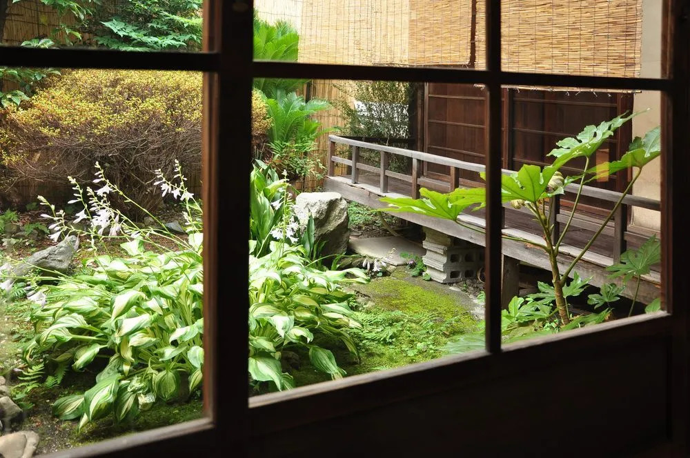 Suzuki Guesthouse