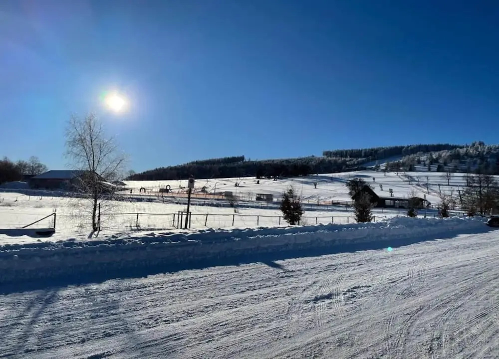 Holiday Home in Willingen Near Ski Slopes