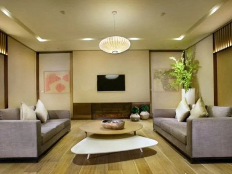 Joya Wuhan Optics Valley