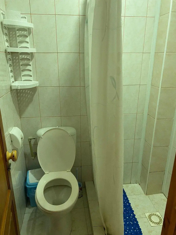Парадайс