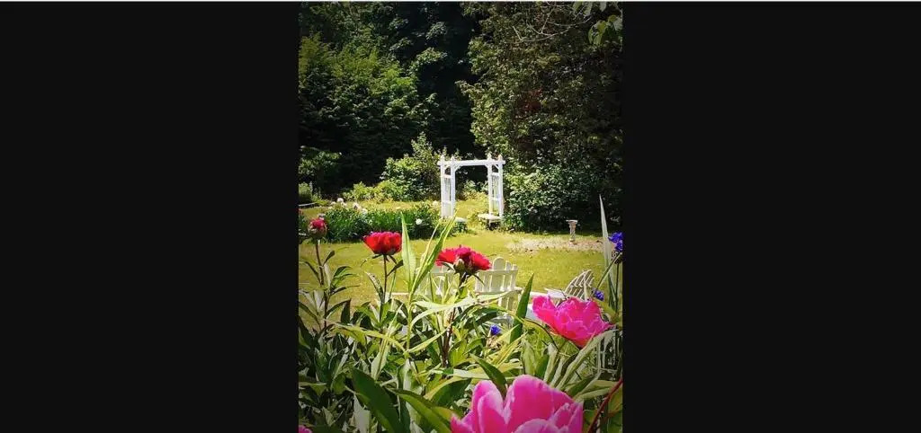 Black Swan Inn