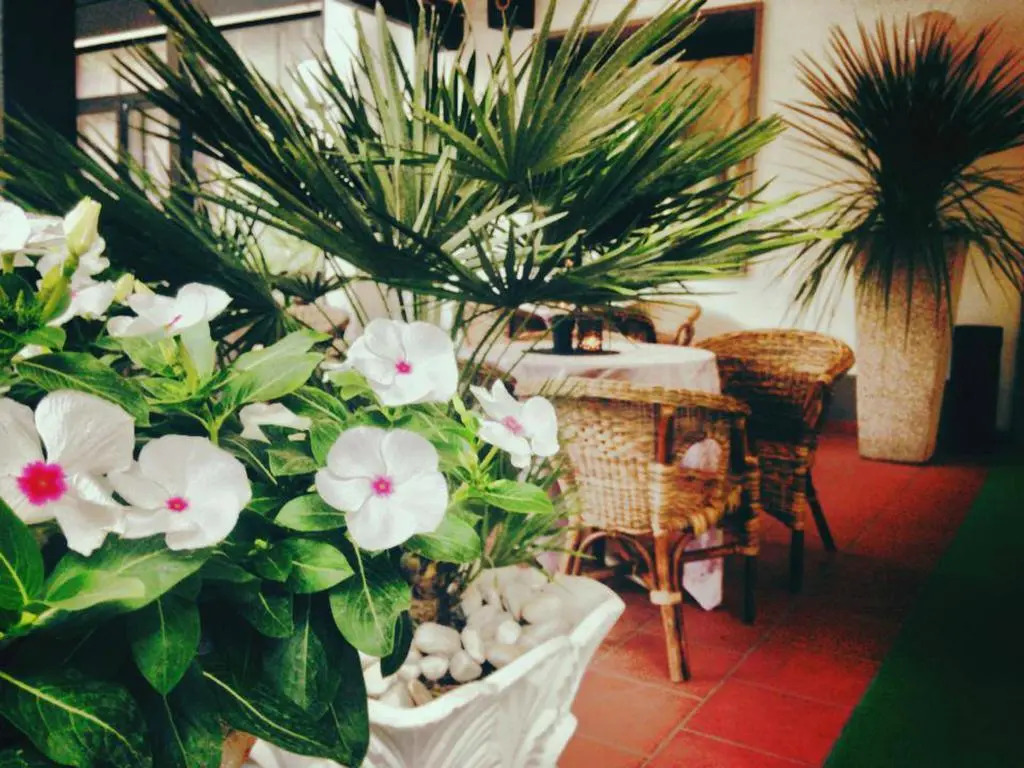 Hotel Garisenda sul Lungomare Riccione B&BRUNCH