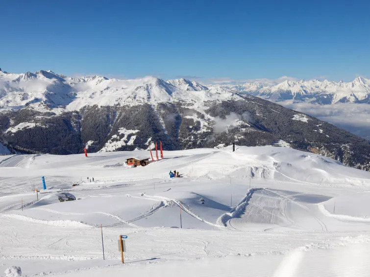Chalet Epilobes