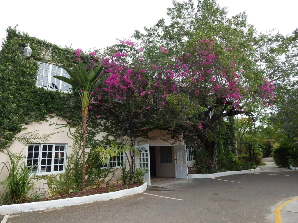 Mangos Boutique Beach Resort