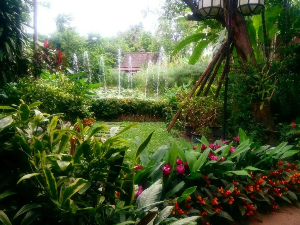Viang Thapae Resort