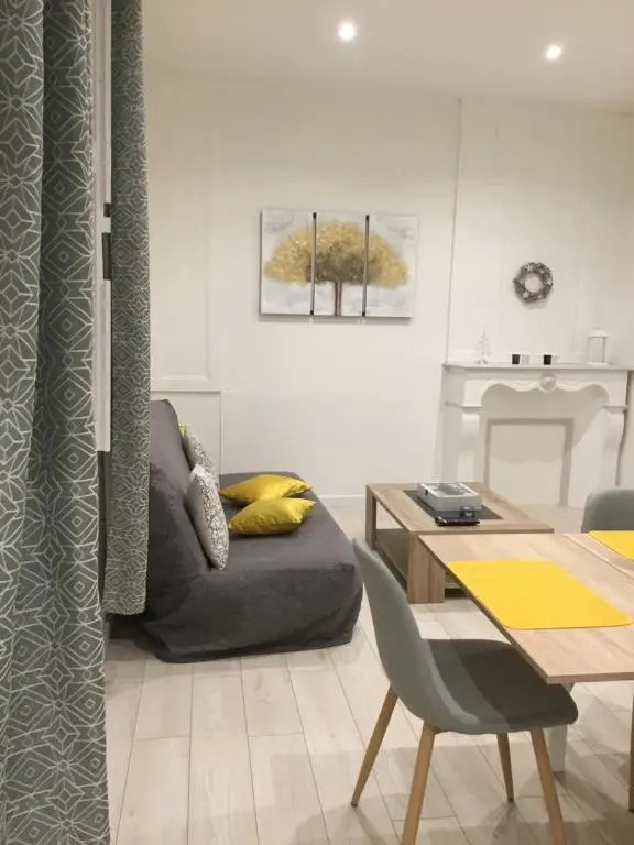Charmant appartement T2 plein centre ville