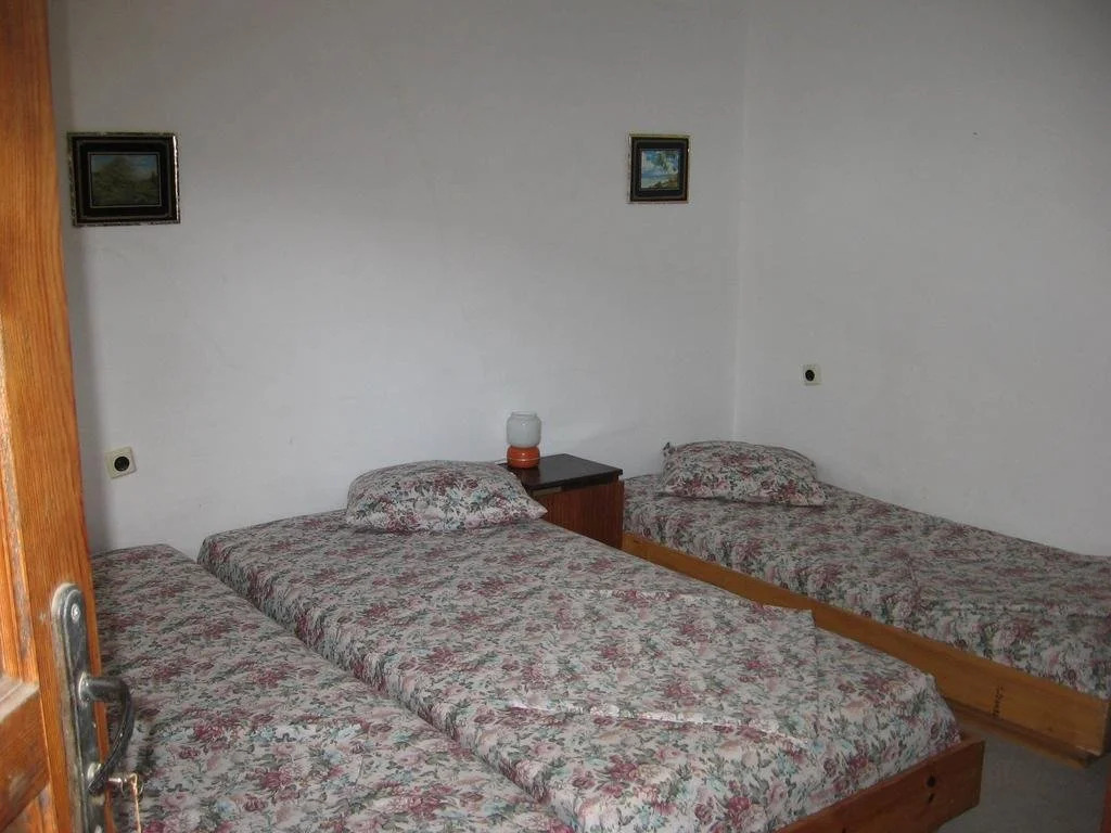 Vila Tsonevi