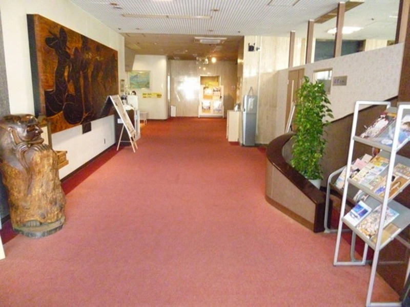 Hotel Wakow