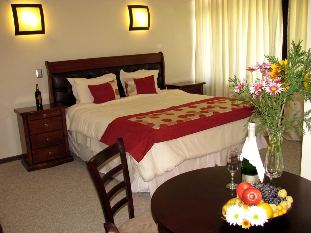 Villa Baviera, Hotel Baviera Chile