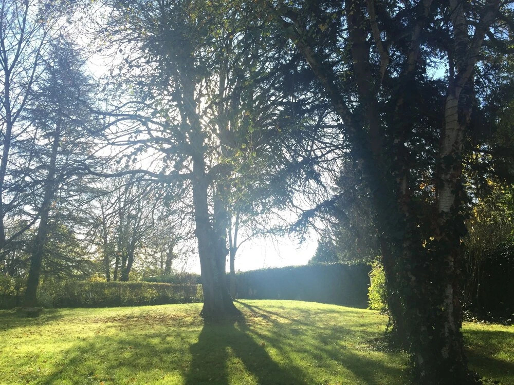 BeauManoir