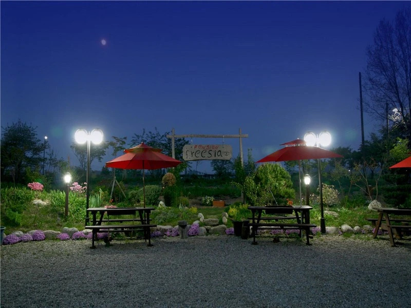 Freesia Pension