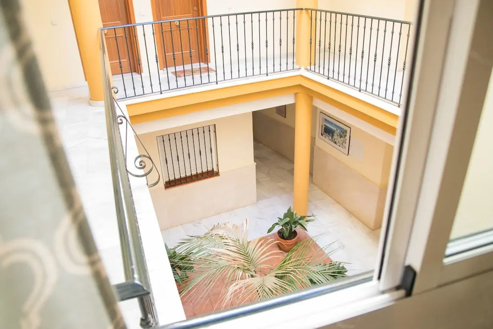 New Wood Studio Plaza la Merced