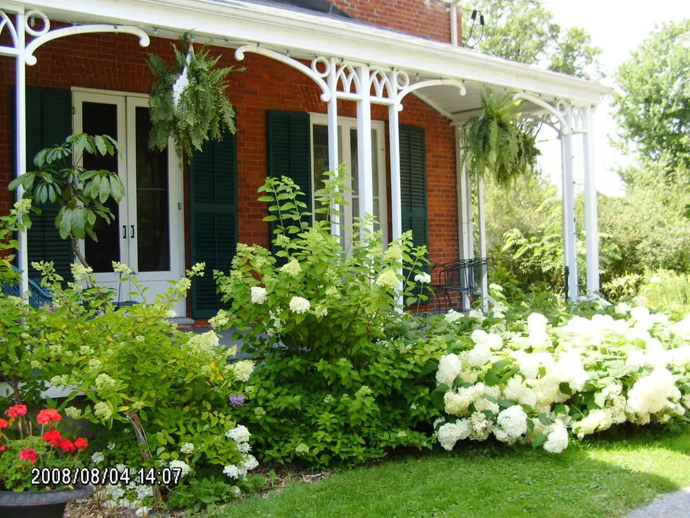 MacKechnie House