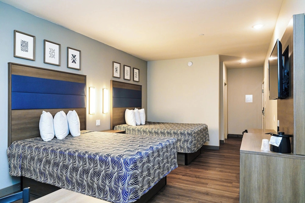 Palace Inn Blue Laura Koppe Rd