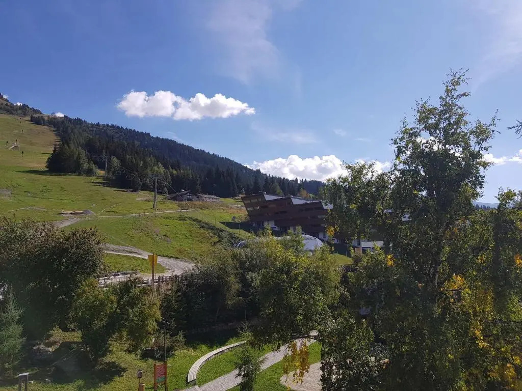 Appartement Les Arcs 1600, 1 pièce, 3 personnes - FR-1-411-534