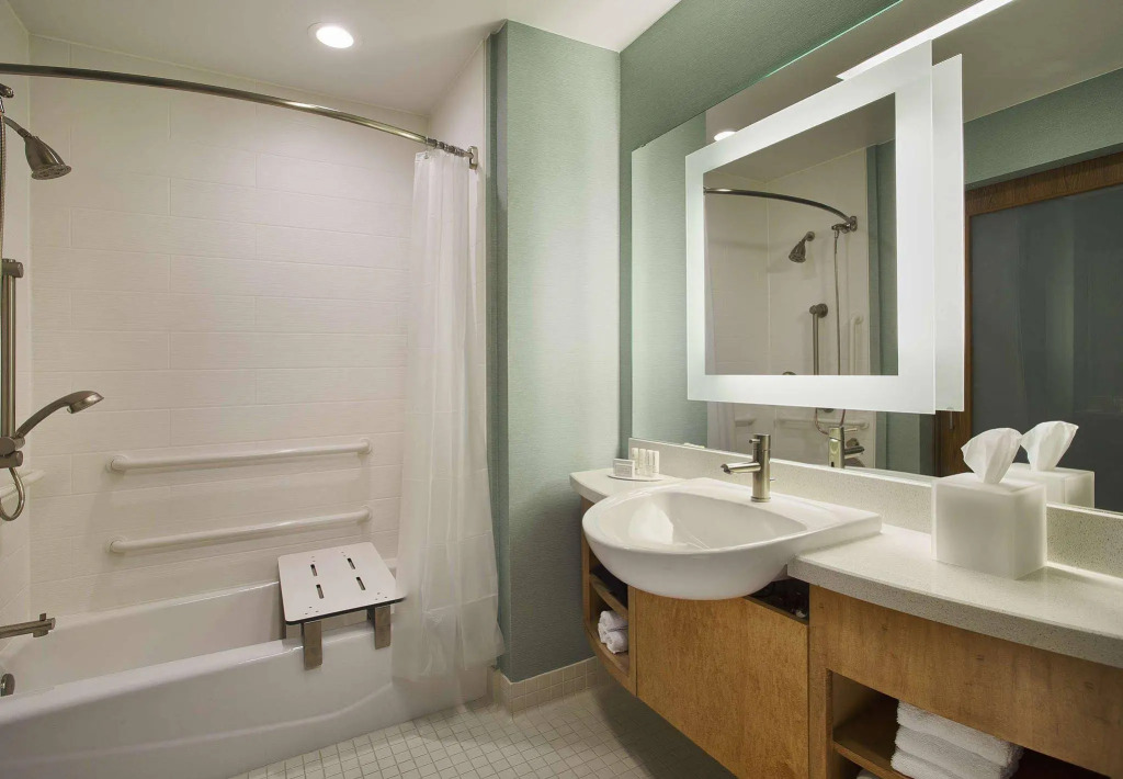 SpringHill Suites by Marriott Houston Downtown/Convention Center