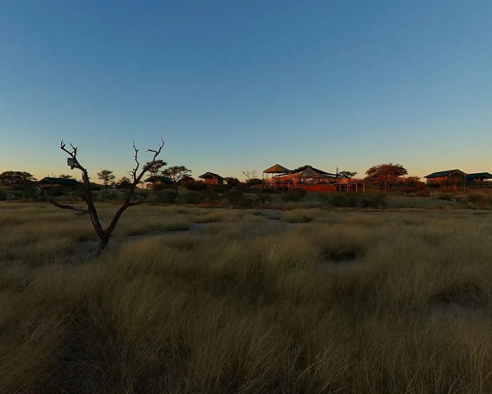 Suricate Tented Lodge