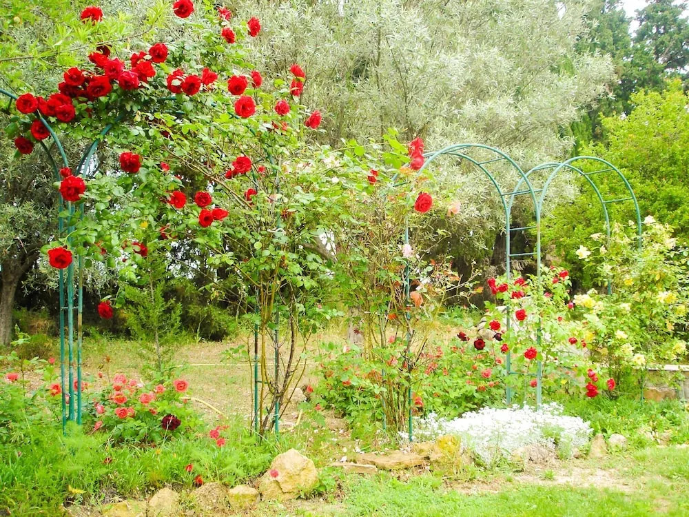Charming Hunting Lodge near Loupian with garden