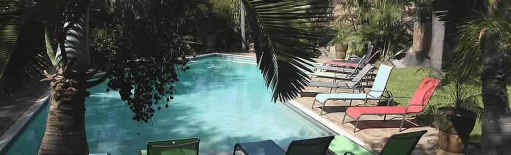 The Palms Guesthouse