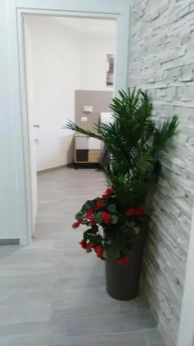 La Suite