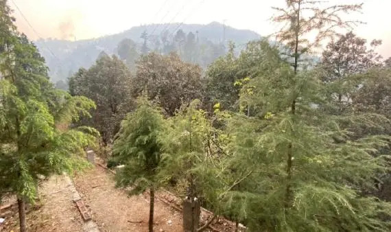The Himalayan Living