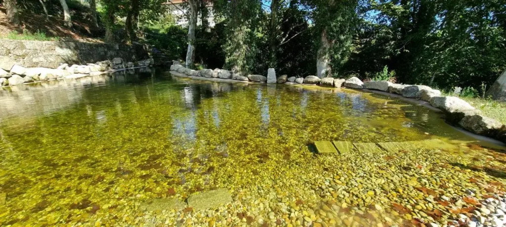 TAMACA nature