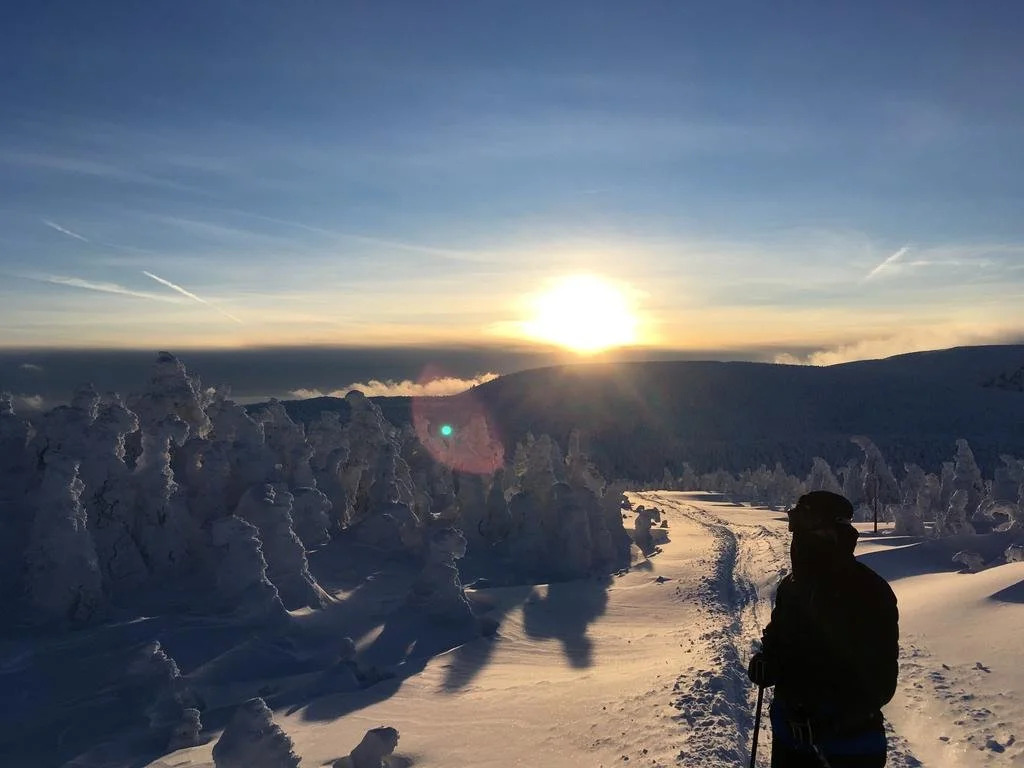 L'aube Matinière