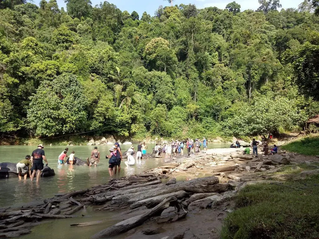 Green Lodge Tangkahan