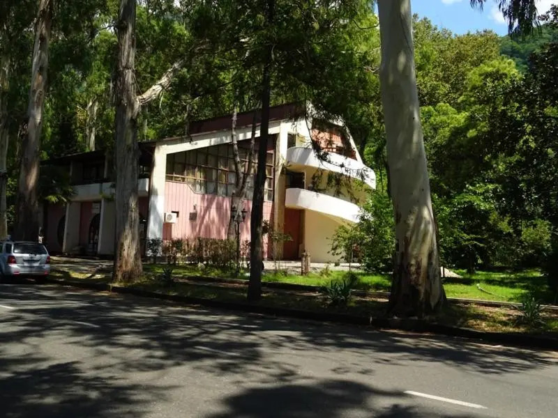 Mini-Hotel Ardzinba 129