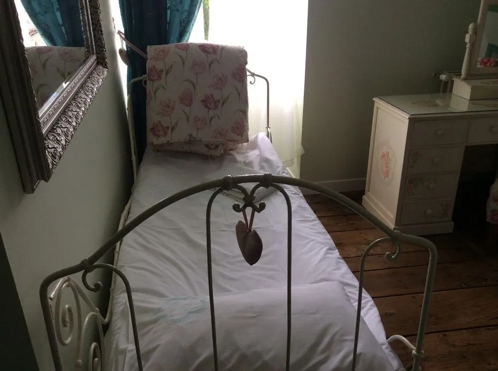 The Lavender House