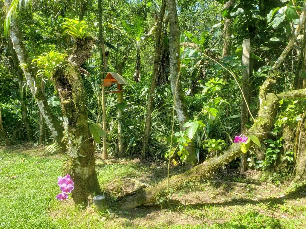 Pousada Tartarugas de Paúba
